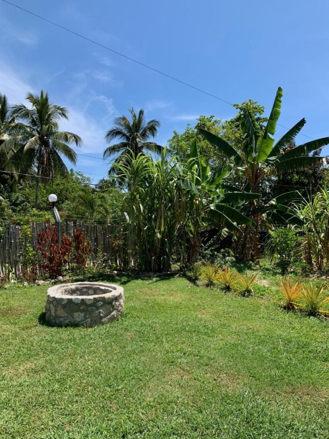 Green Queendom Farm And Lodging Oracabessa Eksteriør bilde