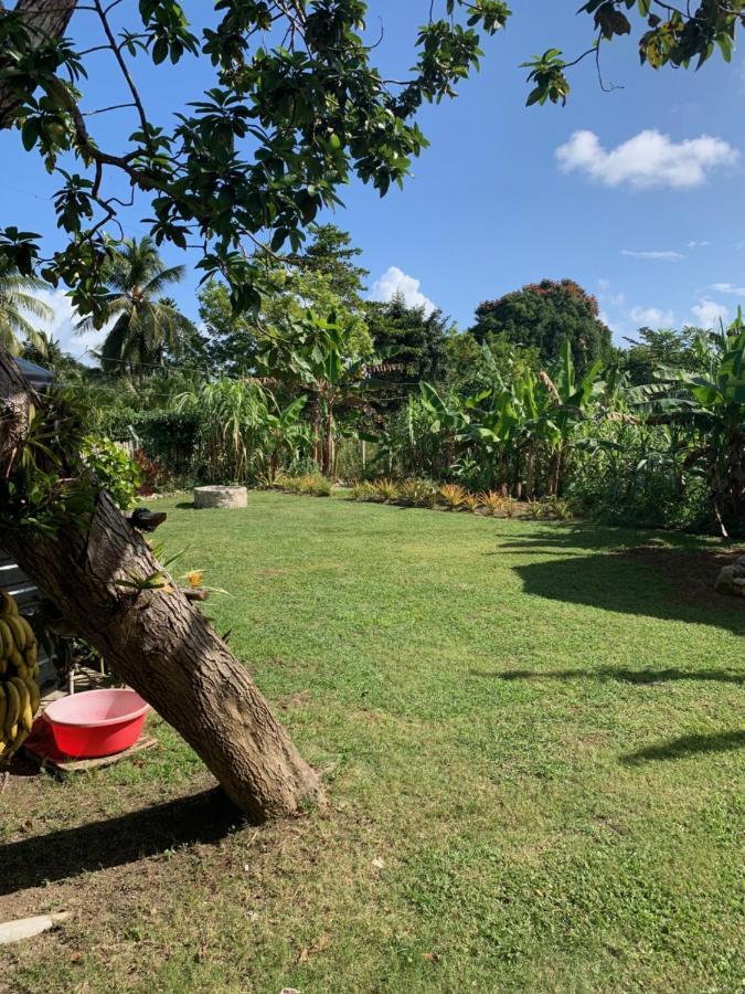 Green Queendom Farm And Lodging Oracabessa Eksteriør bilde